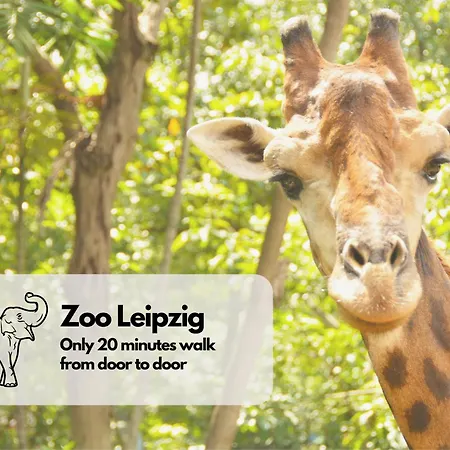 Design Lilly - Balkon - Wlan - Zentral شقة